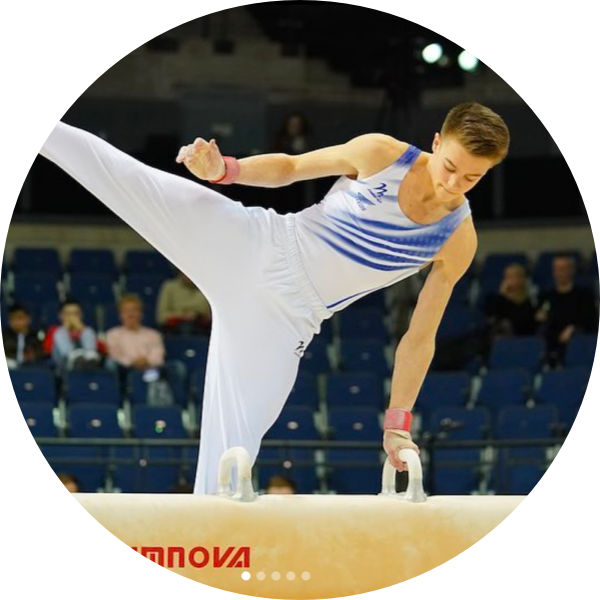 national squad gymnast - Luke Whitehouse